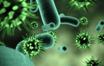 غينيا الإستوائية تؤكد إصابة 6 حالات أخرى بفيروس ماربورج