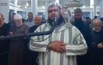 بالفيديو.. قطة تقتحم صلاة التراويح وتقبل الإمام في الصلاة
