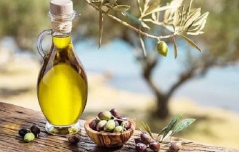 بالتفاصيل.. أهم فوائد زيت الزيتون لصحة الإنسان