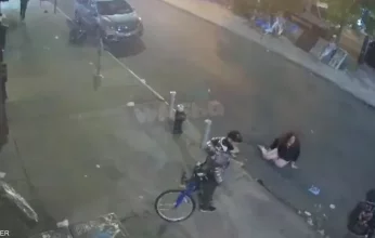 بالفيديو.. اعتداء جماعي على إمرأة أمريكية وسرقة مقتنياتها