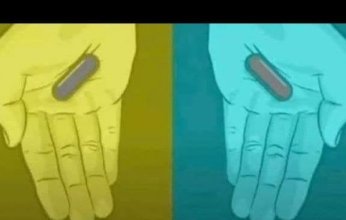 هل تحدد الألوان مستوى القلق والتوتر عند الإنسان؟