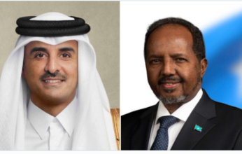 هاتفيًا.. مباحثات إماراتية - صومالية لسبل تعزيز العلاقات الثنائية بين البلدين