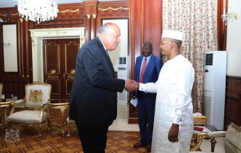 وزير خارجية مصر يُسلم رئيس تشاد رسالة من الرئيس السيسي