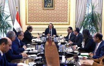 رئيس الوزراء المصري يوجه باستغلال أصول شركة جسور بما يخدم أهداف زيادة الصادرات