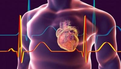 تعرف على 5 نصائح مهمة لمرضى تضخم عضلة القلب تعرف على 5 نصائح مهمة لمرضى تضخم عضلة القلب
