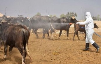 الصحة العراقية: الحمى النزفية تتوغل بالمحافظات و67 إصابة و10 وفيات