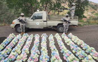 حرس الحدود السعودي يحبط محاولة تهريب ( 360 ) كيلو جرامًا من نبات القات المخدر