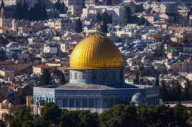 مصر: قضية فلسطين عابرة للثقافات والأجناس والأديان مصر: قضية فلسطين عابرة للثقافات والأجناس والأديان