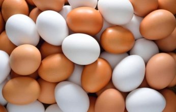 طبيبة توضح الفرق بين البيض الأبيض والبني وأيهما أفضل