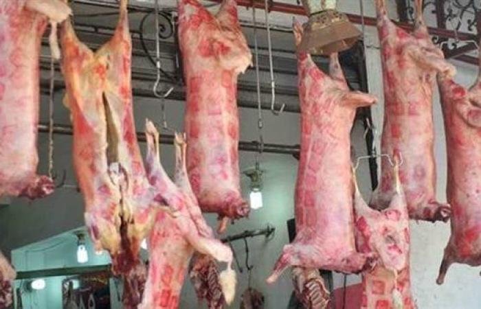 كيف تشتري لحوم العيد؟ الصحة المصرية تجيب كيف تشتري لحوم العيد؟ الصحة المصرية تجيب