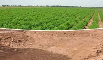 الجريدة الرسمية بمصر تنشر تصديق الرئيس السيسي على تخصيص قطعة أرض لإقامة محطة الحمأة