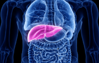 طبيب يحدد ما يحفظ الكبد وما يضره.. فما التفاصيل؟