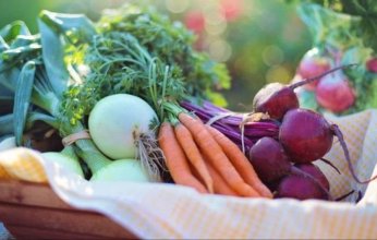 تعمل كمبيض طبيعي.. أشعة الشمس تساعد في القضاء على بقع الخضراوات والفواكه