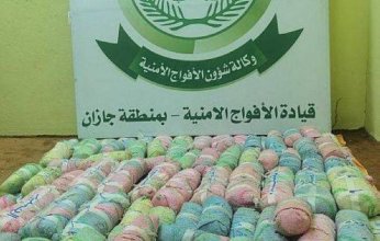 السعودية.. إحباط تهريب 602 كلجم من نبات القات المخدر بجازان