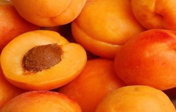 طبيبة روسية توضح تأثير المشمش في القلب