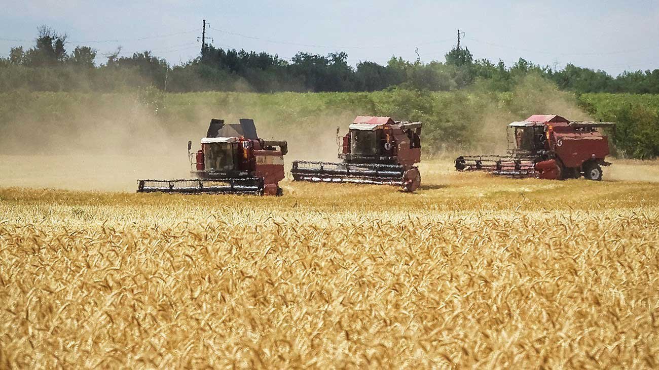 موسكو تعمل على فتح طرق جديدة لتصدير الحبوب موسكو تعمل على فتح طرق جديدة لتصدير الحبوب
