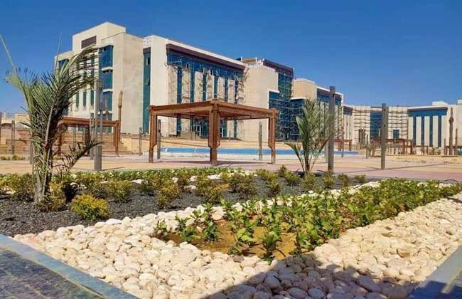 جامعة الملك سلمان الدولية تعلن نتائج نهاية العام بعد تقييمها من خبراء بجامعات دولية جامعة الملك سلمان الدولية تعلن نتائج نهاية العام بعد تقييمها من خبراء بجامعات دولية