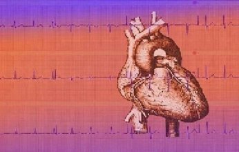 اكتشاف مضادات أكسدة طبيعية مستخلصة من الطحالب الحمراء للوقاية وعلاج أمراض القلب