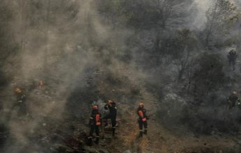 بالأرقام.. الحرائق تهدد النظام الإيكولوجي في اليونان