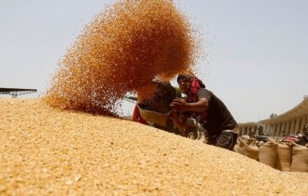 الأردن يشتري حوالي 60 ألف طن من القمح في مناقصة اليوم