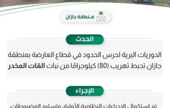 السعودية.. حرس الحدود بجازان يحبط تهريب 80 كيلوجرامًا من «القات» المخدر