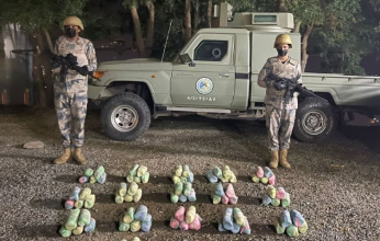 إحباط محاولة تهريب 66 كيلوجرامًا من نبات القات المخدر بمنطقة جازان