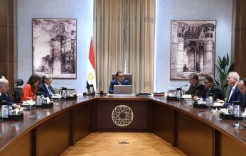 مصر.. «مدبولي» يستعرض مشروع إقامة محطة عملاقة للهيدروجين الأخضر