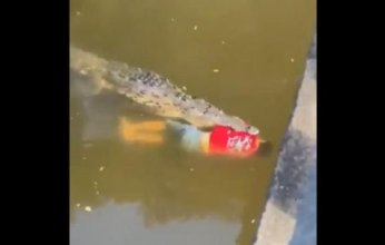 فيديو يوثق حادث مأسوي في كوستاريكا لتمساح يقتل لاعب كرة قدم