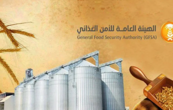 السعودية.. صرف 132.39 مليون ريال لمزارعي القمح المحلي «مستحقات الدفعة الـ12»