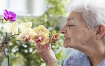 انخفاض حاسة الشم قد يكون علامة مبكرة على الإصابة بالخرف.. فما الأسباب؟