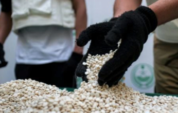 السعودية.. القبض على إثيوبي لتهريبه 21.415 قرصًا خاضعًا لتنظيم التداول الطبي بجازان