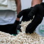السعودية.. القبض على إثيوبي لتهريبه 21.415 قرصًا خاضعًا لتنظيم التداول الطبي بجازان 2 khaligyoun28135