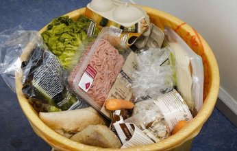 ما خطورة تناول المنتجات الغذائية المنتهية الصلاحية؟.. طبيبة تجيب