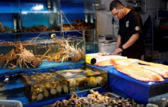 بعد حظر الواردات من اليابان.. روسيا تسعى لزيادة صادرات المأكولات البحرية إلى الصين