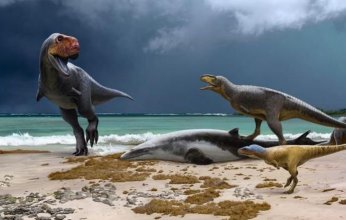 اكتشاف ديناصورات انقرضت قبل 66 مليون سنة في المغرب.. إعرف التفاصيل