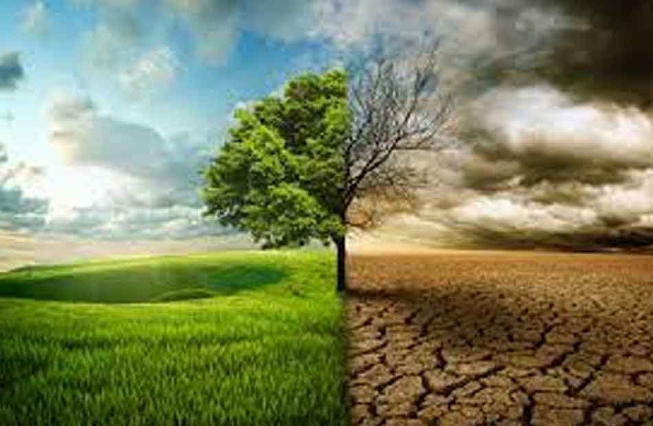 مصر.. الملتقى العربي لرواد النقل الأخضر يبحث استخدامات الطاقة الجديدة والمتجددة مصر.. الملتقى العربي لرواد النقل الأخضر يبحث استخدامات الطاقة الجديدة والمتجددة
