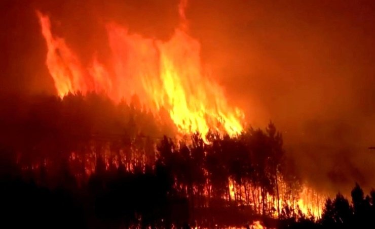 إجلاء أكثر من ألف شخص بسبب حريق غابات في البرتغال إجلاء أكثر من ألف شخص بسبب حريق غابات في البرتغال