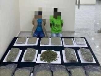 الكويت.. ضبط امرأتين حاولتا إدخال 15 كيلو من الماريجوانا الكويت.. ضبط امرأتين حاولتا إدخال 15 كيلو من الماريجوانا