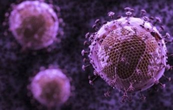 كندا ترصد أول إصابة بمتحور كورونا الجديد «بي.إيه 2.86».. فما التفاصيل؟