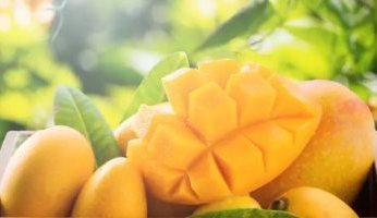 بالتفاصيل.. تعرف على أضرار المانجو الجلدية