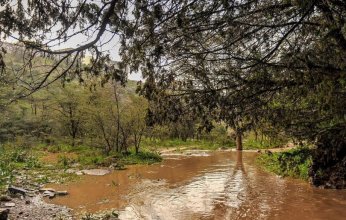 الأرصاد السعودية: سحب رعدية ممطرة على معظم مناطق المملكة