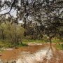 khaligyoun90463