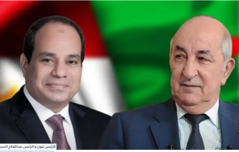 وزير الخارجية المصري يتسلم رسالة موجهة للرئيس السيسى من نظيره الجزائرى