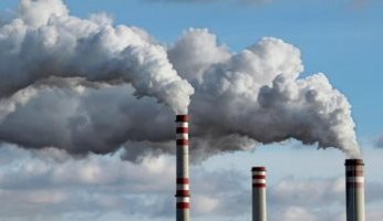 دراسة جديدة.. جعل المدن أكثر خضرة يؤثر بشكل كبير على معدلات الكربون