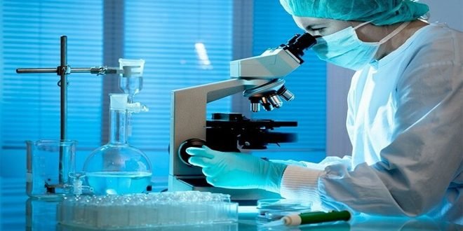 ابتكار أدوية تكبح شيخوخة الخلايا ابتكار أدوية تكبح شيخوخة الخلايا