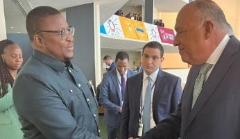 وزير الخارجية المصري يؤكد ضرورة عدم التدخل فى شئون السودان الداخلية