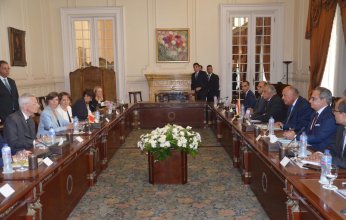 وزير الخارجية المصري: نأمل أن يعود اتفاق الحبوب وأن نصل إلى نهاية العملية العسكرية في أوكرانيا