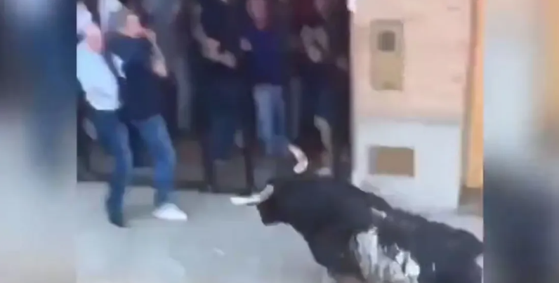 بالفيديو.. ثور هائج يتسبب في وفاة رجل بمهرجان في إسبانيا بالفيديو.. ثور هائج يتسبب في وفاة رجل بمهرجان في إسبانيا