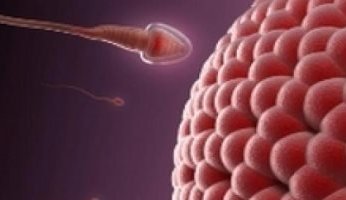 بالتفاصيل.. كل ما تريد معرفته عن متلازمة «كلاينفيلتر» التى تصيب الرجال وعلاقتها بعدم الإنجاب