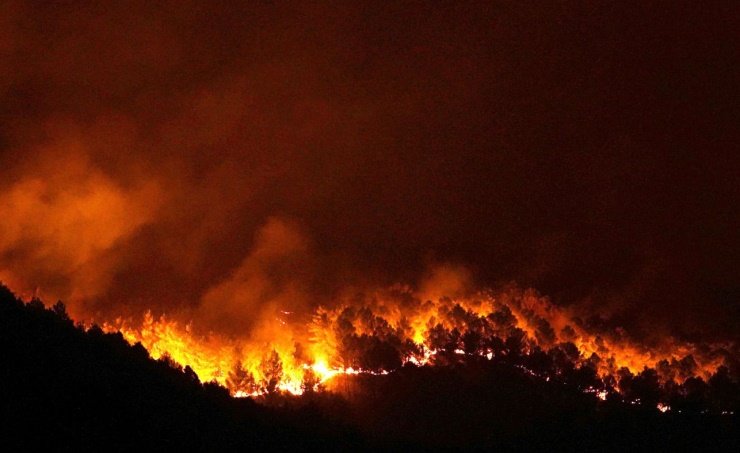 إخماد 20 حريقاً في غابات ولاية بجاية بالجزائر خلال 24 ساعة إخماد 20 حريقاً في غابات ولاية بجاية بالجزائر خلال 24 ساعة